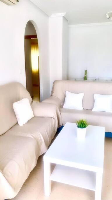 Apartamento - Playa El Campello Urbanizacion Jardin Del Mar エクステリア 写真