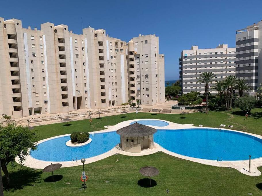 Apartamento - Playa El Campello Urbanizacion Jardin Del Mar エクステリア 写真